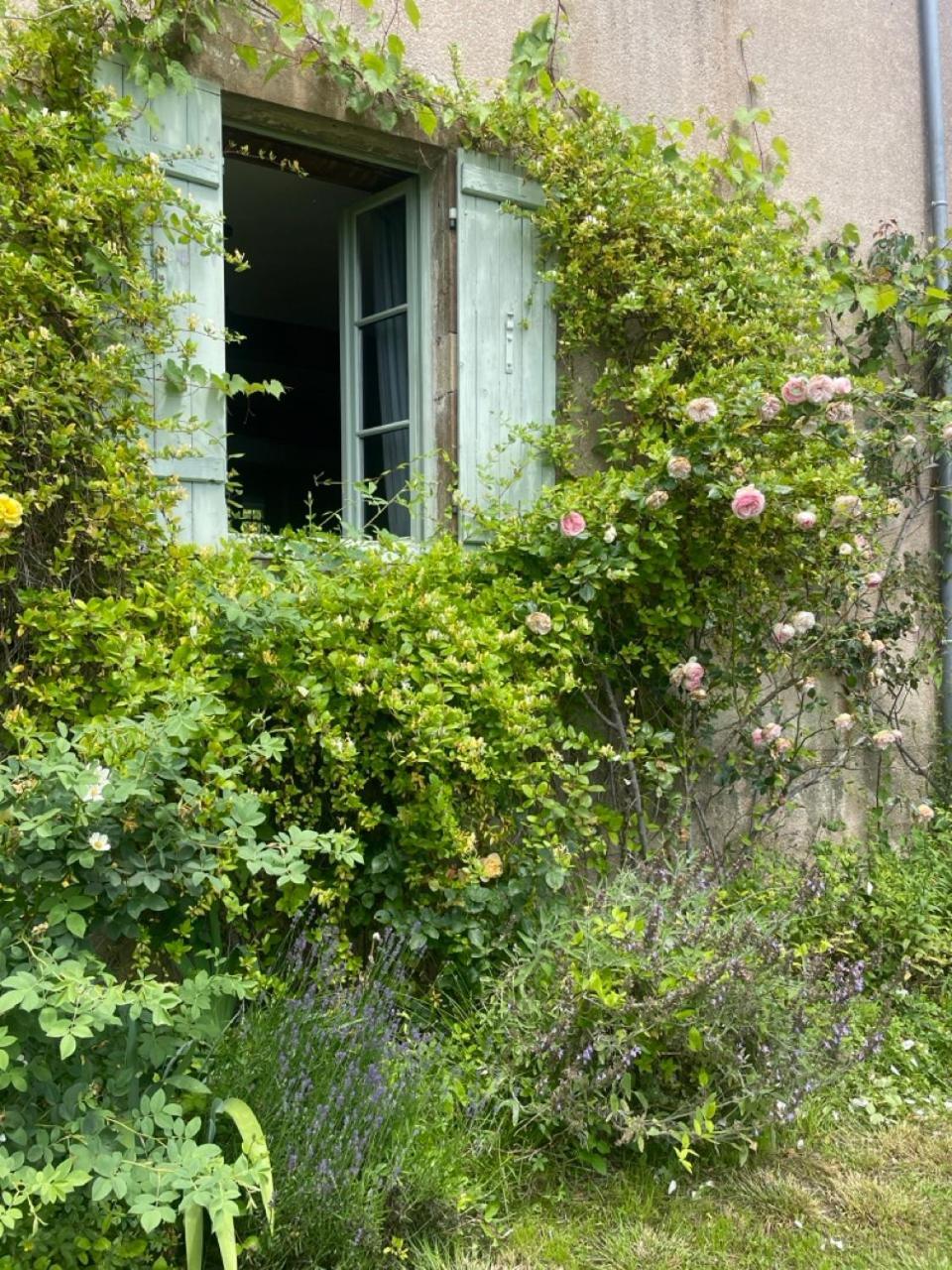 Chez Katia Ξενοδοχείο Semur-en-Auxois Εξωτερικό φωτογραφία